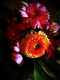 My Photos