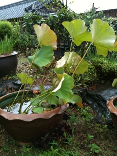 My Photos